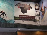 Tilly's Sports Wallpaper Mural